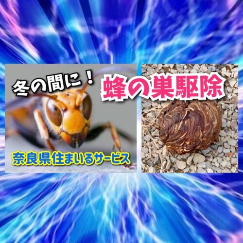 冬の間に蜂の巣を退治しませんか？奈良県のハチの巣駆除はリフォーム会社：住まいるサービスへ！