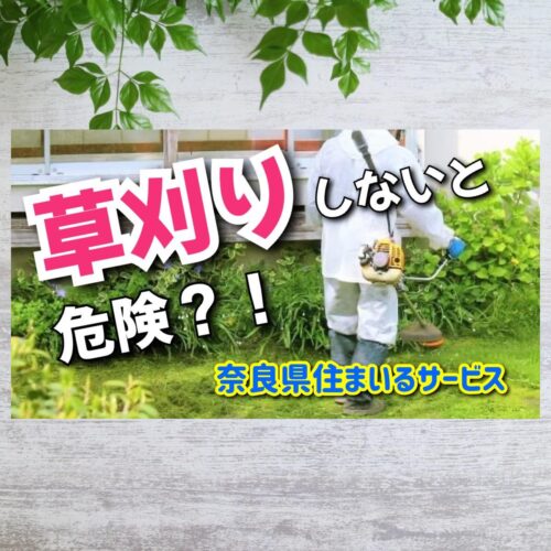 草刈りしないと危険な雑草とは？：奈良県のハウスクリーニング・リフォーム会社