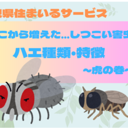 【どこから増えた？しつこい害虫】ハエ種類・特徴～虎の巻～