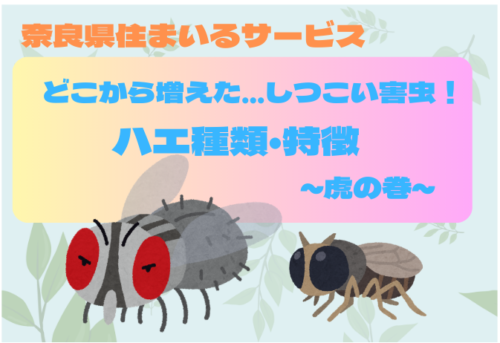【どこから増えた？しつこい害虫】ハエ種類・特徴～虎の巻～