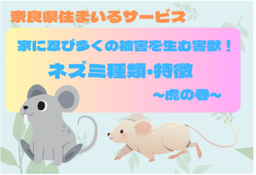 【家に潜み多くの被害を生む害獣】ネズミ種類・特徴～虎の巻～