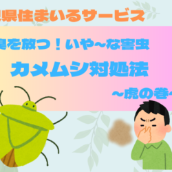 【悪臭を放つ！いや～な害虫】カメムシ対処法～虎の巻～