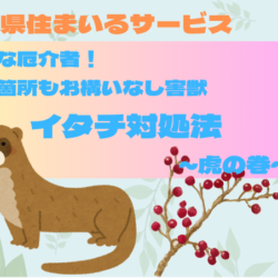 【小さな厄介者！狭い箇所もお構いなしな害獣】イタチ対処法～虎の巻～