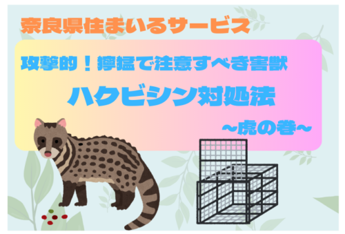 【攻撃的！獰猛で注意すべき害獣】ハクビシン対処法～虎の巻～