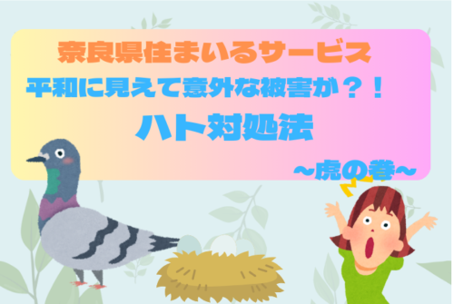 【平和に見えて意外な被害が？！】ハト対処法～虎の巻～