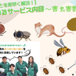 【困りごとを素早く解決！】住まいるサービス内容～害獣害虫～