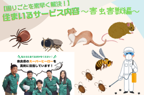 【困りごとを素早く解決！】住まいるサービス内容～害獣害虫～