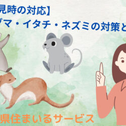 【害獣発見時の対応！】ネズミ・アライグマやイタチの対処法とは？