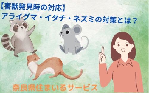 【害獣発見時の対応！】ネズミ・アライグマやイタチの対処法とは？