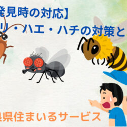 【害虫発見時の対応！】ゴキブリ・ハエやハチの対策法とは？