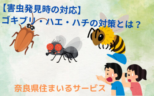 【害虫発見時の対応！】ゴキブリ・ハエやハチの対策法とは？