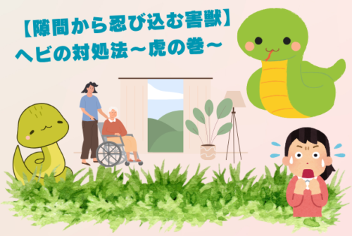 【隙間から忍び込む害獣】ヘビ対処法~虎の巻~