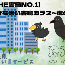 【THE害鳥NO.1】厄介な黒い害鳥カラス～虎の巻～