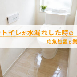 天理市でトイレが水漏れした時の応急処置と業者の選び方
