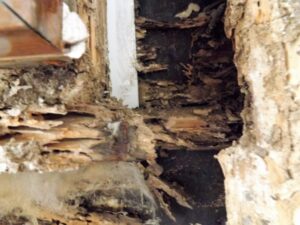 シロアリ駆除奈良県家のリフォーム工務店住まいるサービス